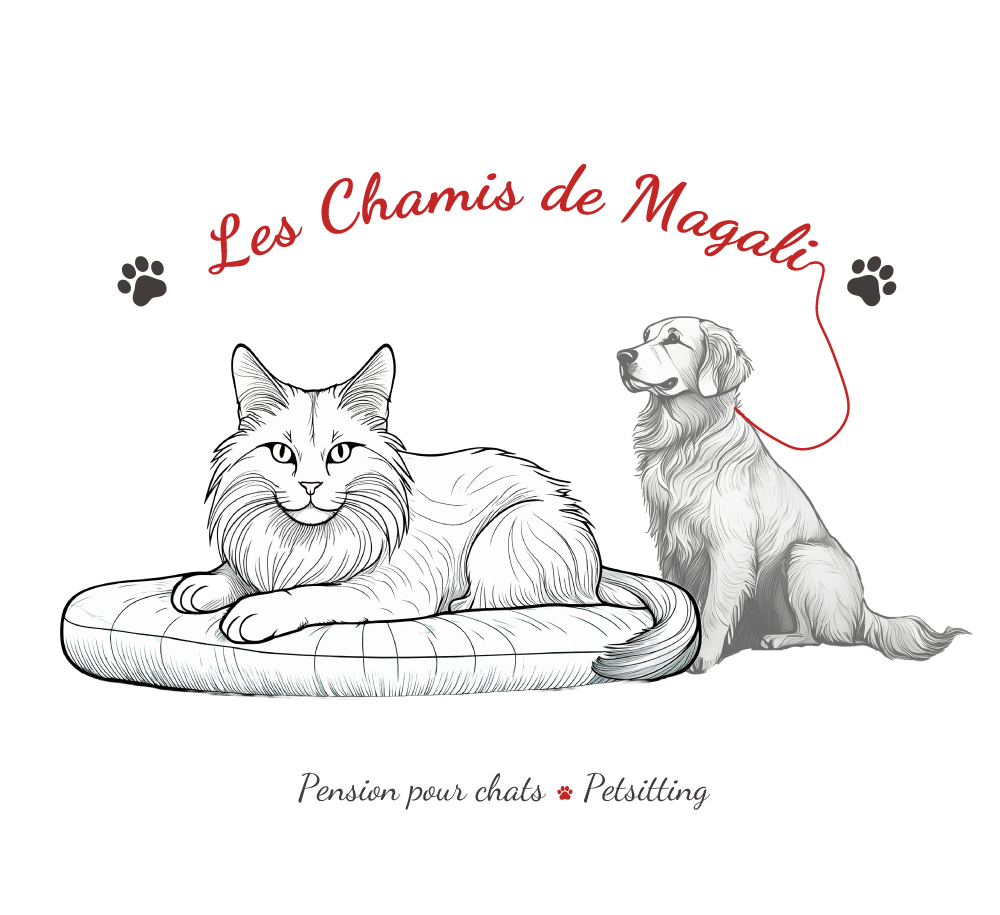 Les Chamis de Magali