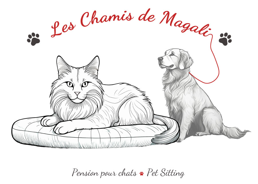 Les Chamis de Magali - Pension pour chats et Pet Sitting